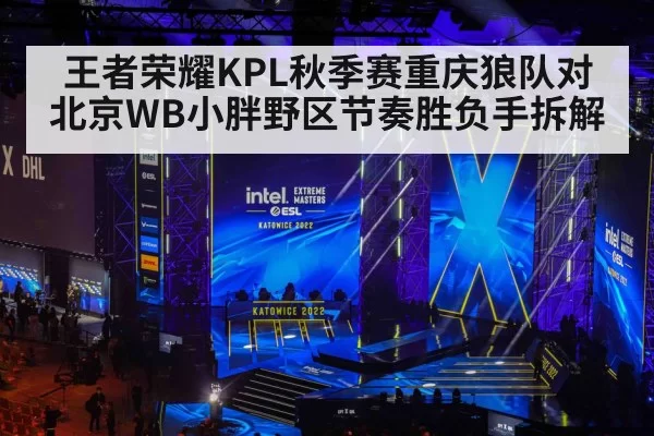 王者荣耀KPL秋季赛重庆狼队对北京WB小胖野区节奏胜负手拆解